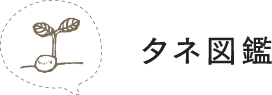 タネ図鑑