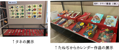 タネの展示やたねぢからカレンダー作品の展示写真